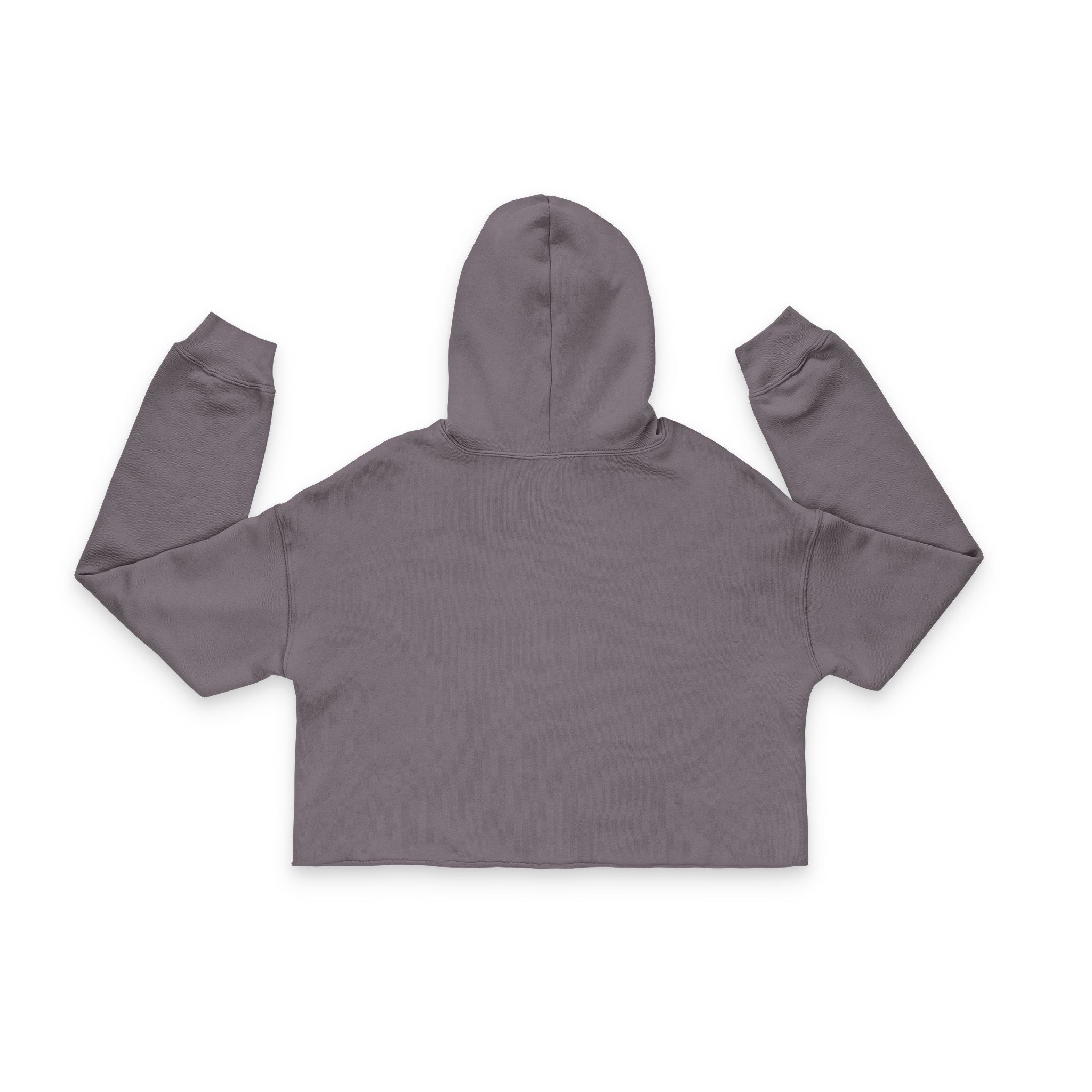 Solara Icon - Women's Cropped Hoodie