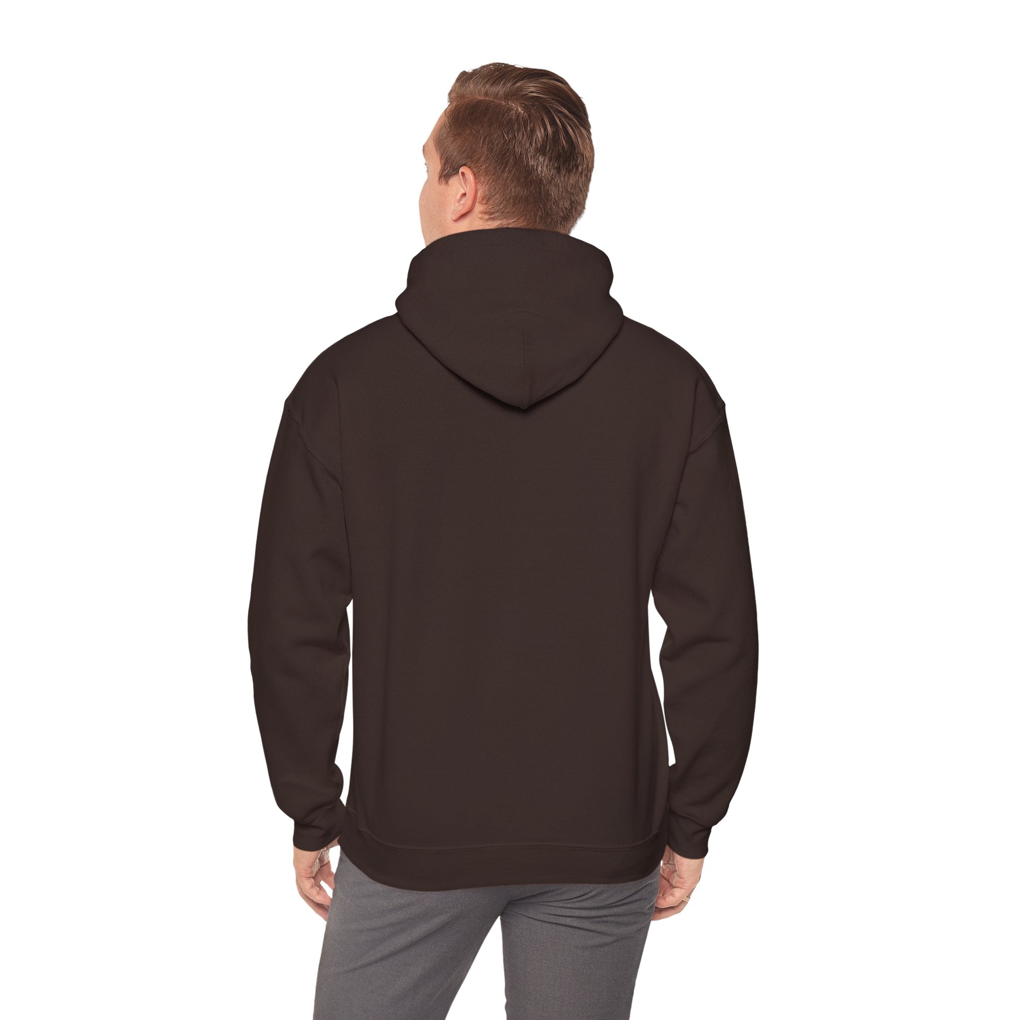 Solara Icon-Unisex Hoodie | Cozy Sweatshirt for All Seasons, Perfect Gift, Casual Wear,