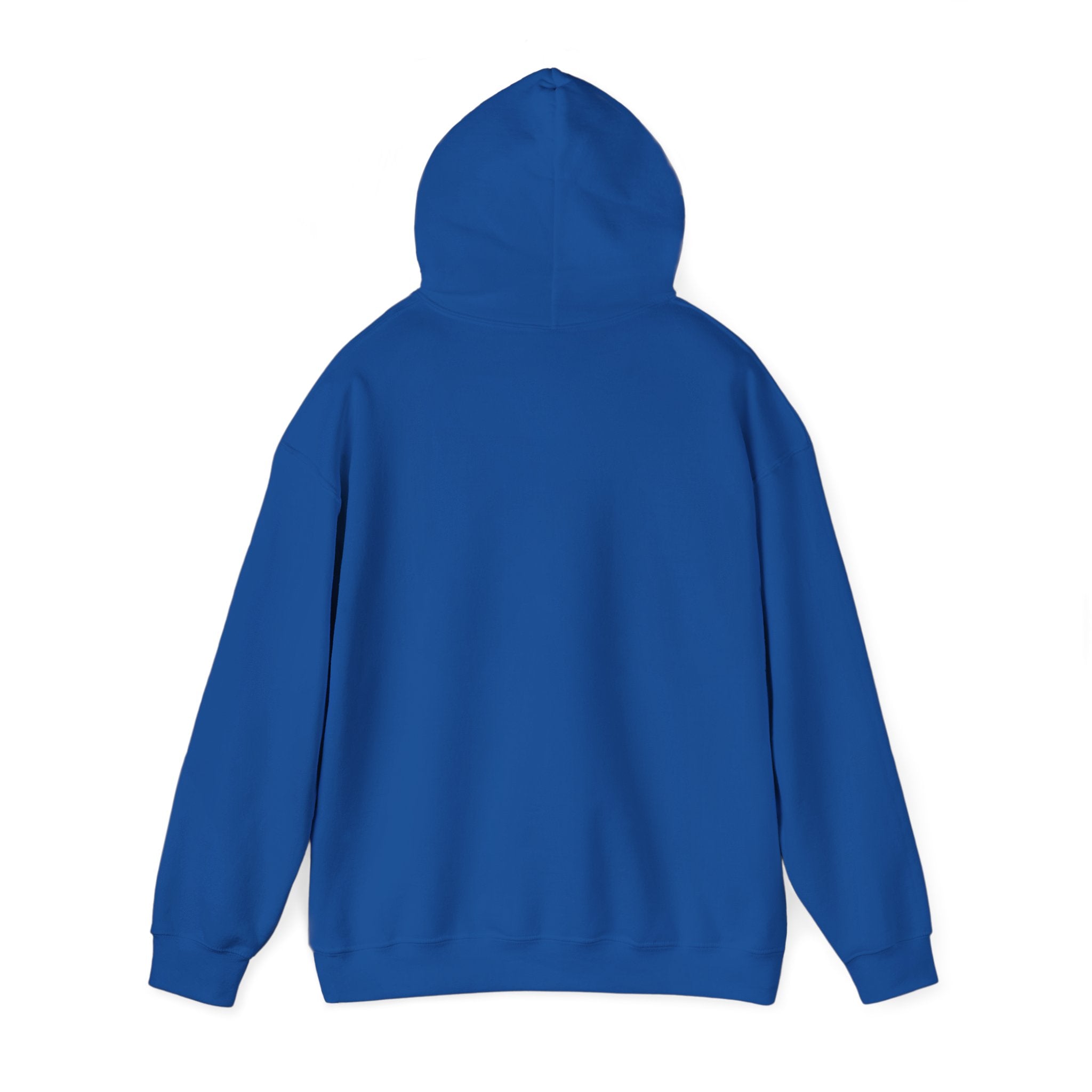 Solara Icon-Unisex Hoodie | Cozy Sweatshirt for All Seasons, Perfect Gift, Casual Wear,