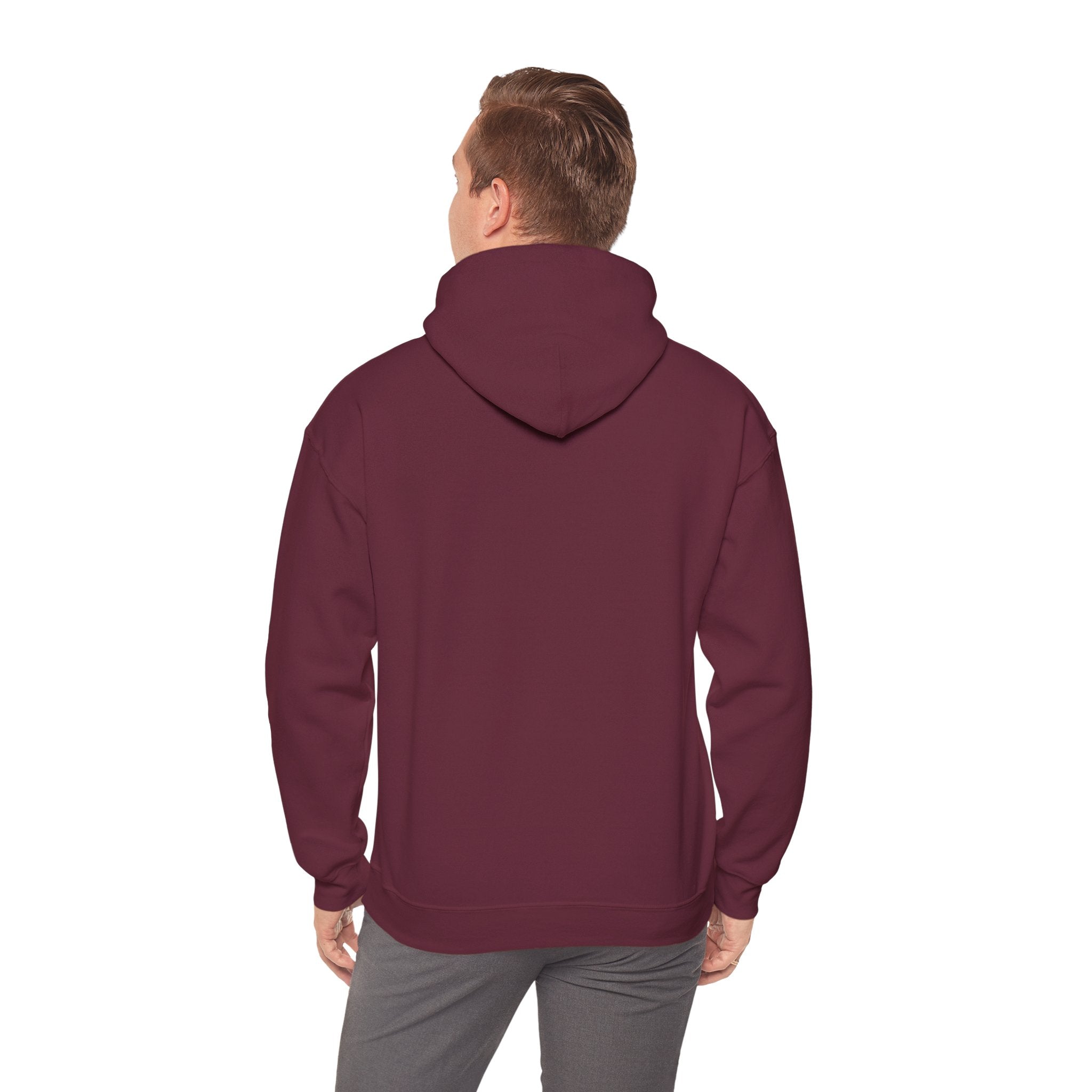 Solara Icon-Unisex Hoodie | Cozy Sweatshirt for All Seasons, Perfect Gift, Casual Wear,