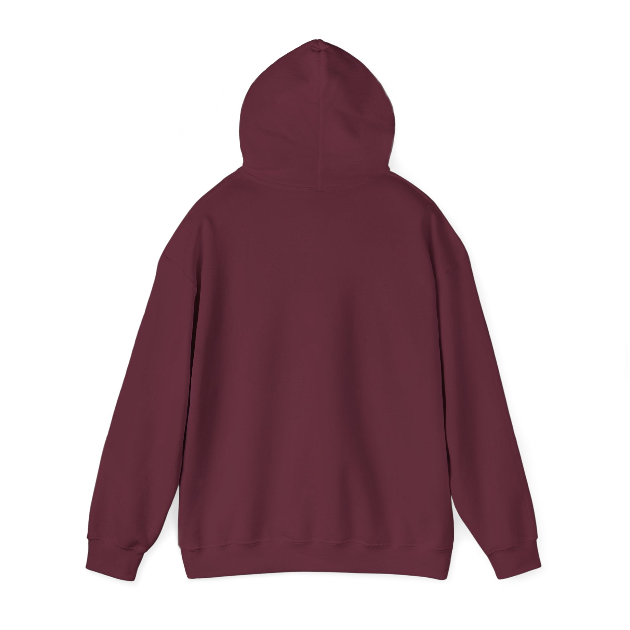 Solara Icon-Unisex Hoodie | Cozy Sweatshirt for All Seasons, Perfect Gift, Casual Wear,