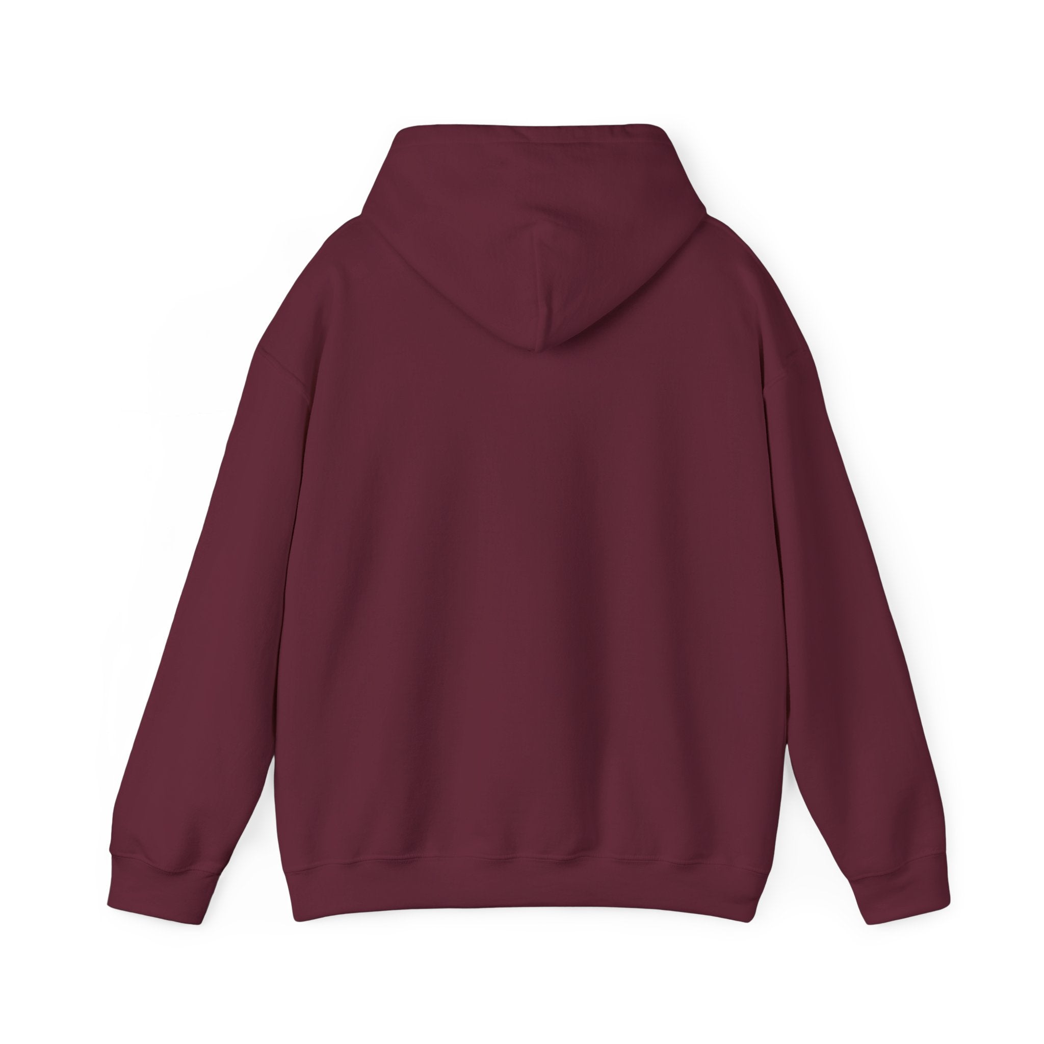 Solara Icon-Unisex Hoodie | Cozy Sweatshirt for All Seasons, Perfect Gift, Casual Wear,