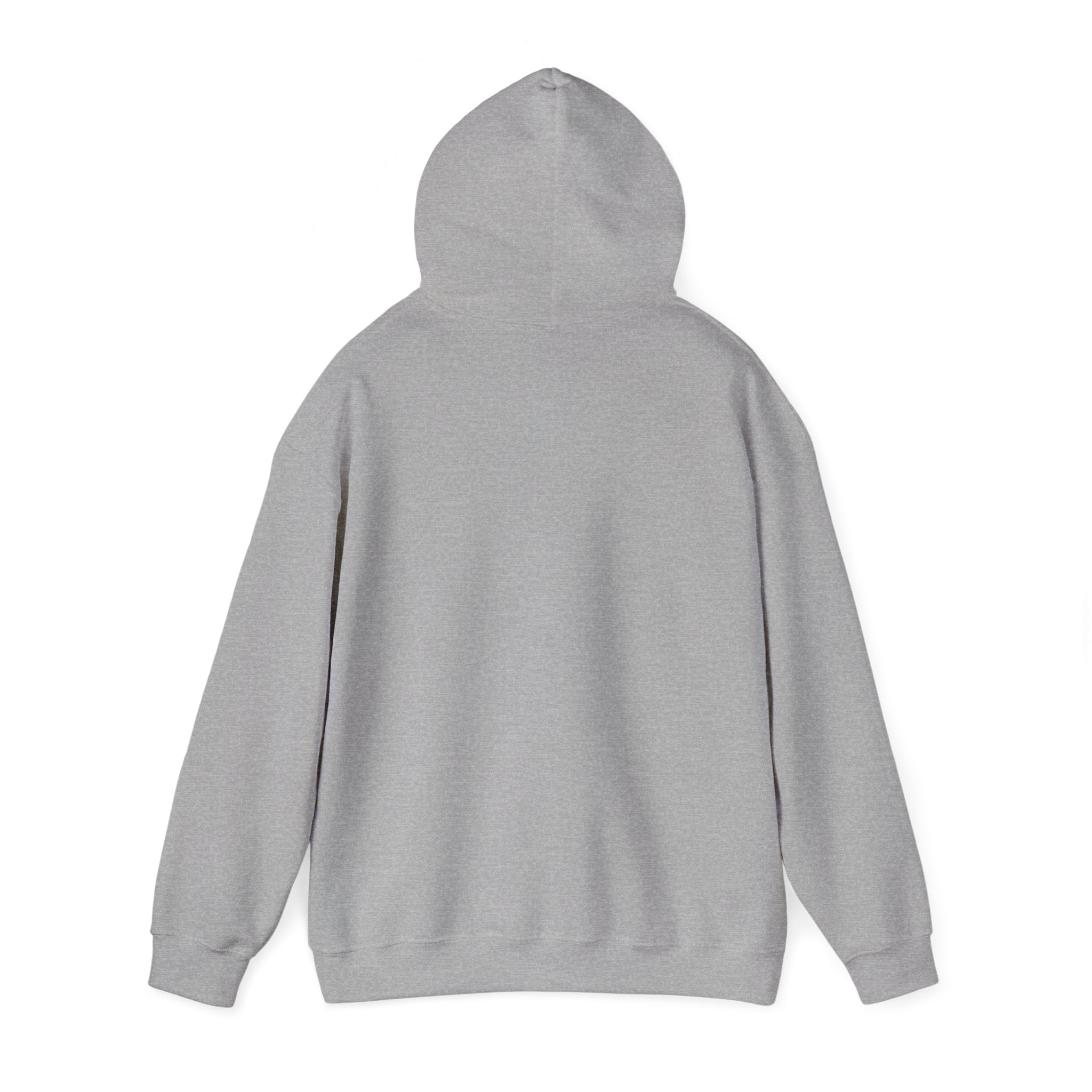 Solara Icon-Unisex Heavy Blend™ Hooded Sweatshirt