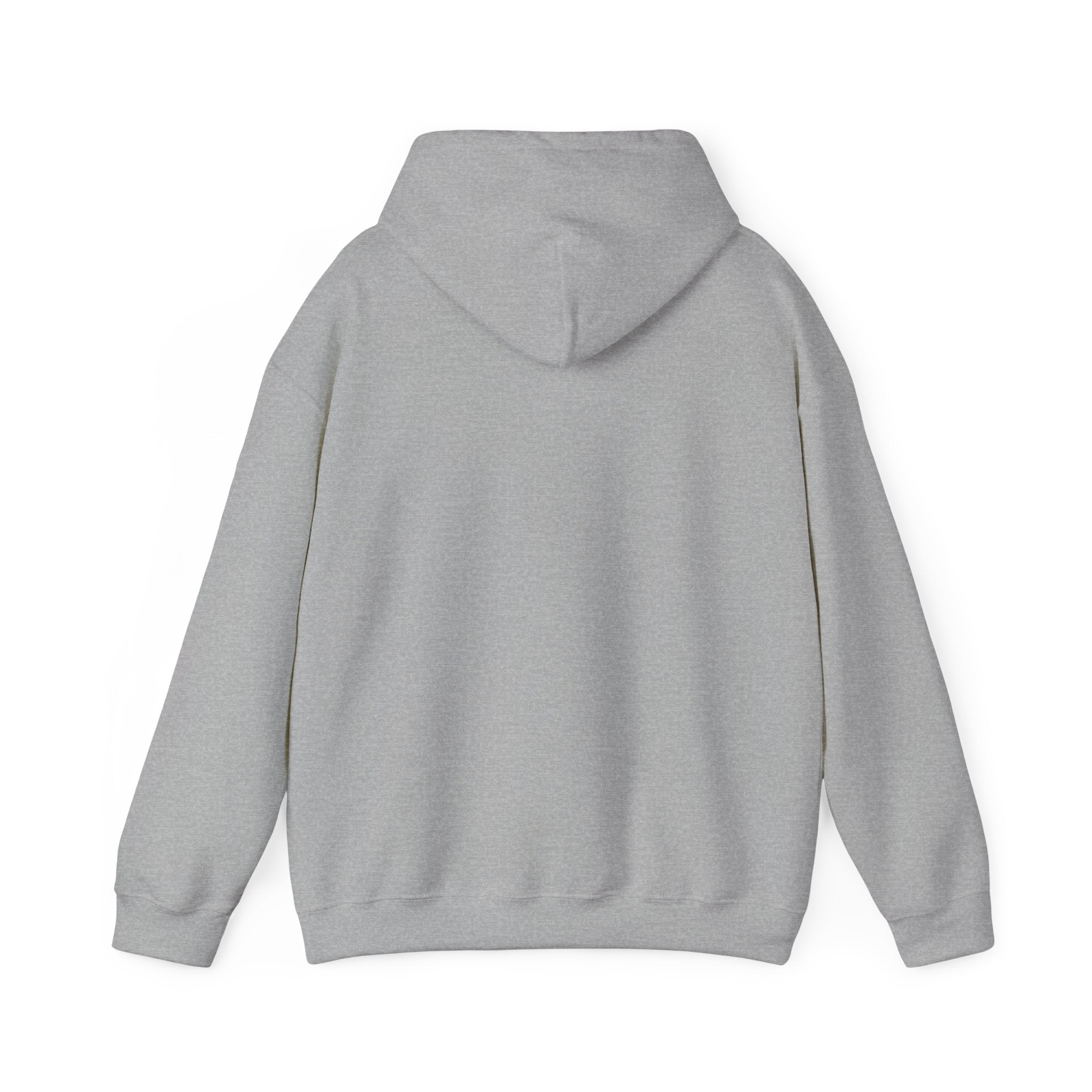 Solara Icon-Unisex Heavy Blend™ Hooded Sweatshirt